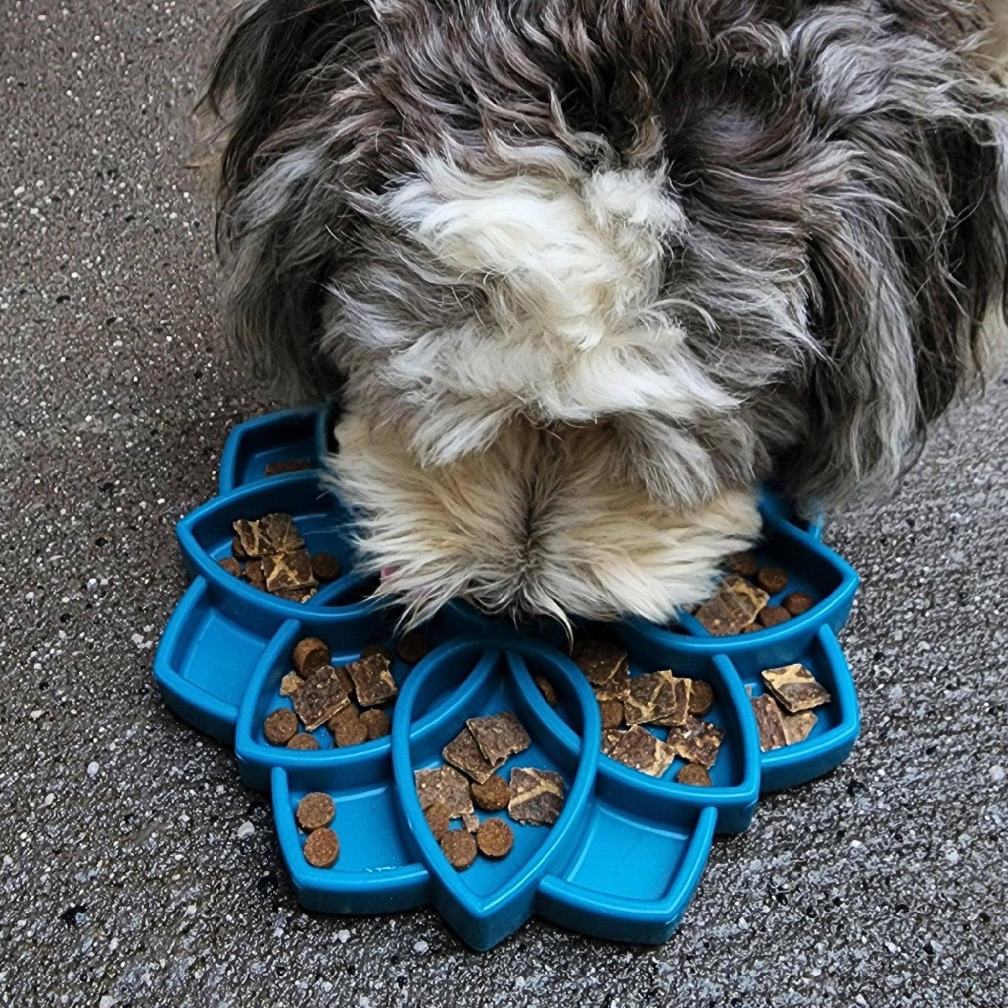 Soda Pup Mandala Slowfeeder Etray